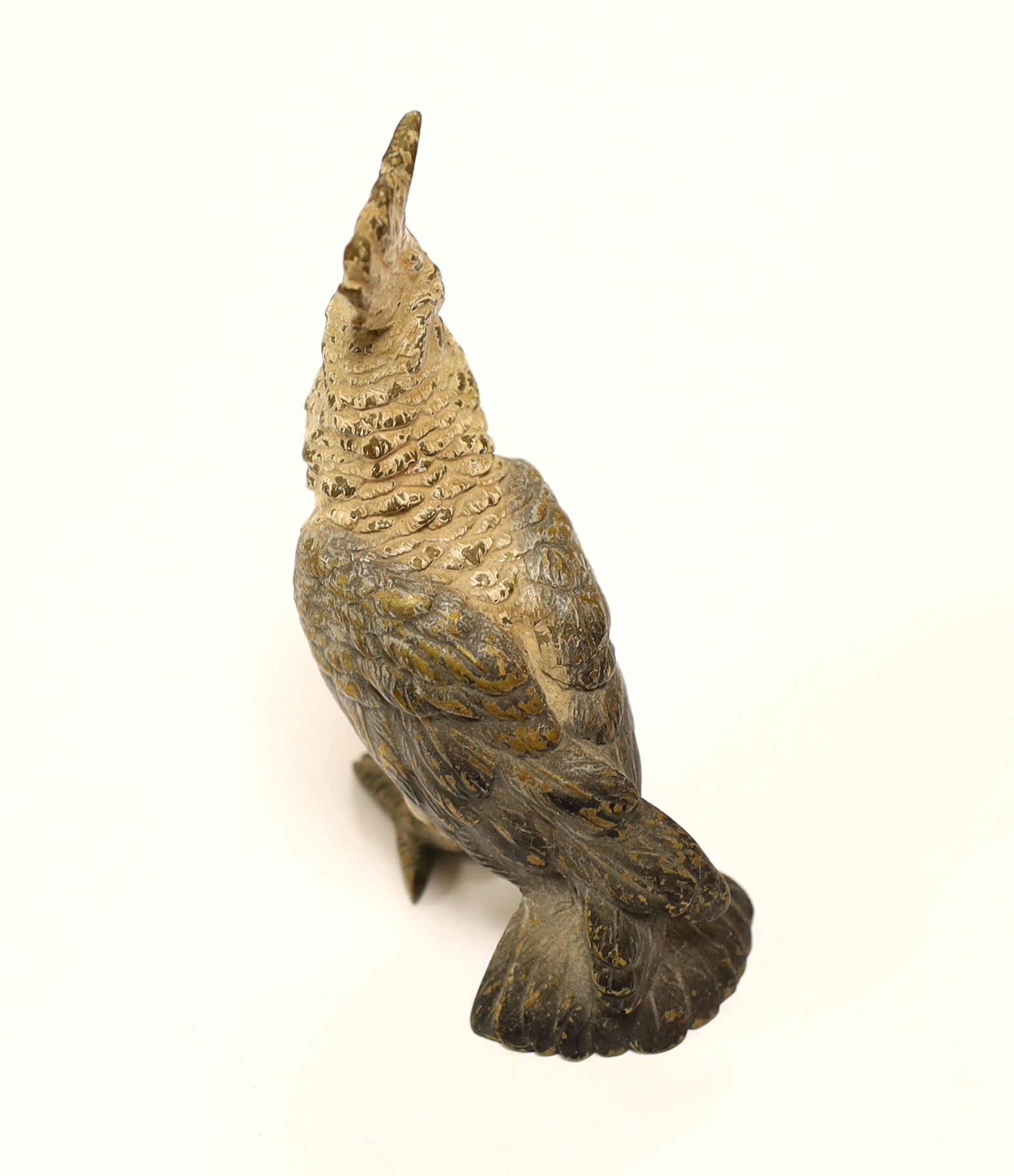 A large Austrian cold painted bronze model of a Cockatoo, 10cms high